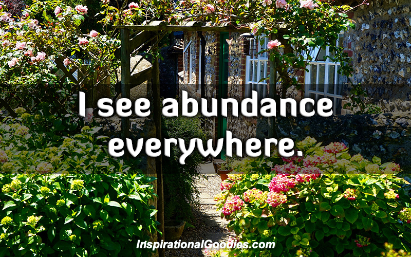 I see abundance everywhere.