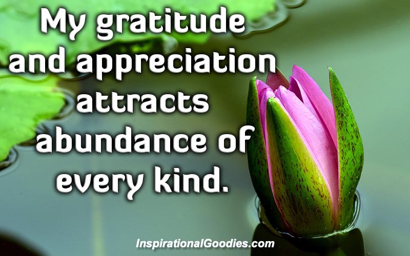 My gratitude and appreciation attracts abundance of every kind.