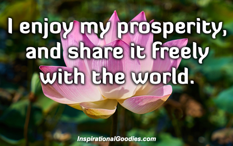I enjoy my prosperity and share it freely with the world.