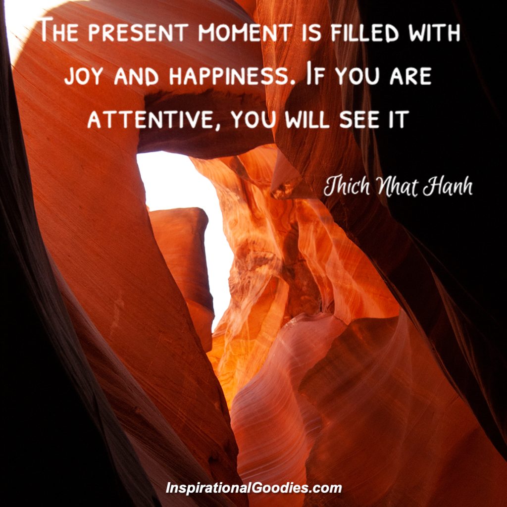 The present moment is filled with joy and happiness. If you are attentive, you will see it.