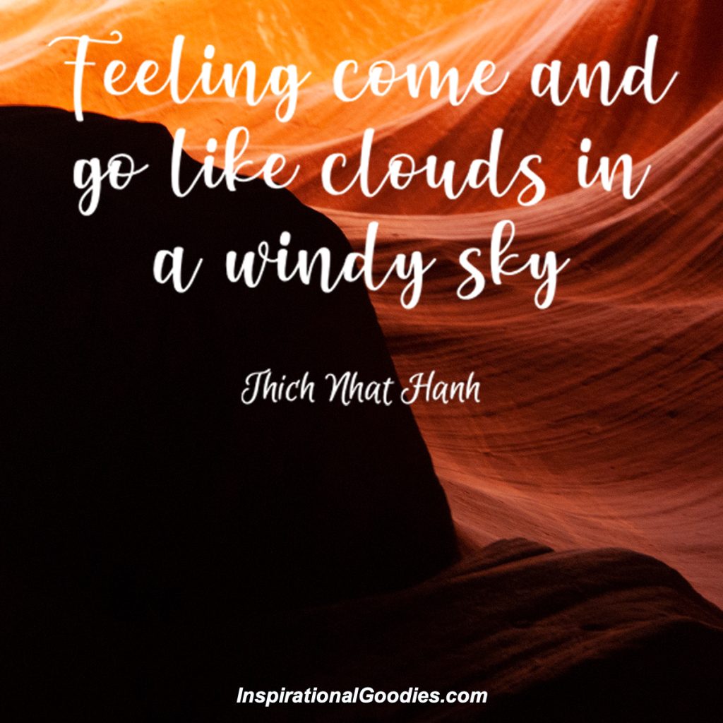 Feelings come and go like clouds in a windy sky.