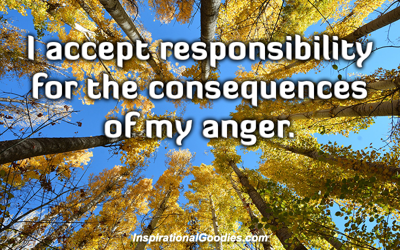 I accept responsibility for the consequences of my anger.