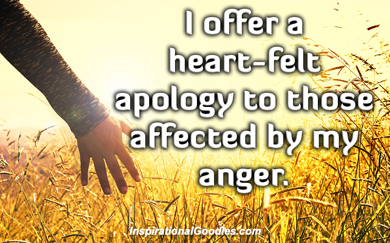 I offer a heart-felt apology to those affected by my anger.