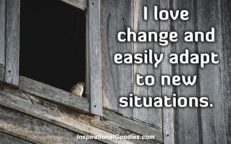 I love change and easily adapt to new situations.