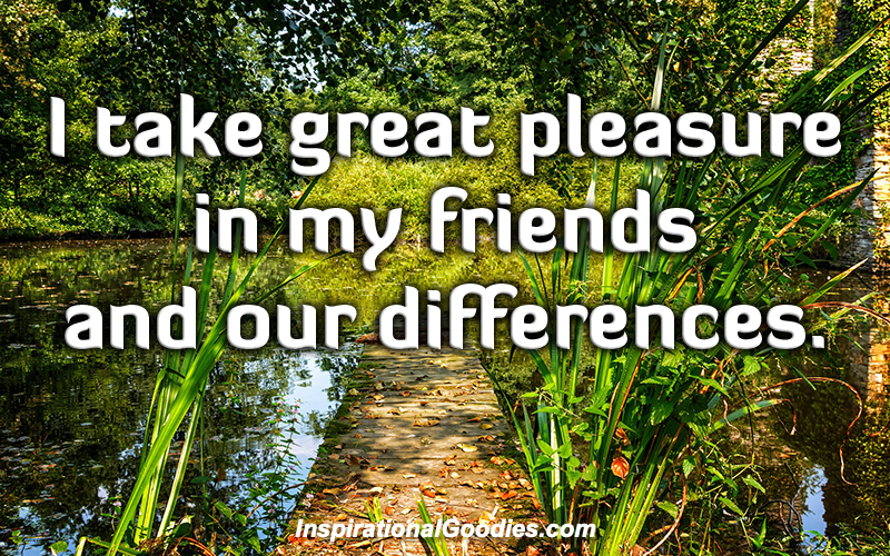 I take great pleasure in my friends and our differences.